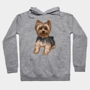 Cute Yorkshire Terrier Drawing Hoodie